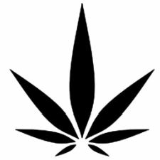 Cannaflower CBD Review 2025 – The Best Hemp Flower