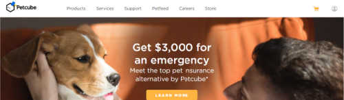 petcube screenshot