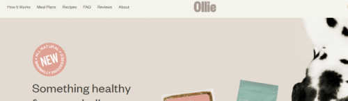 ollie screenshot