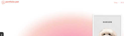 portfolio screenshot