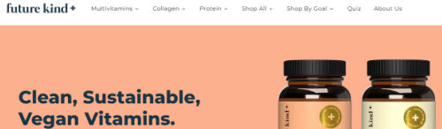 future kind screenshot