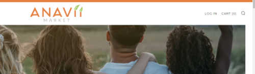 Anavii Market screenshot