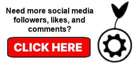 social-growth-engine social growth engine