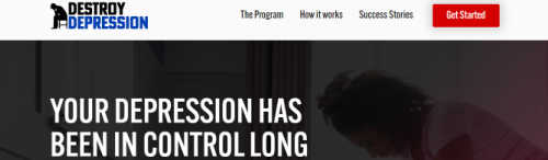 Destroy Depression screenshot