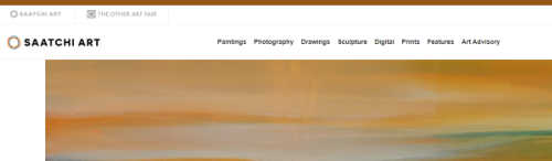 Saatchi screenshot