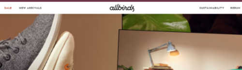Allbirds screenshot
