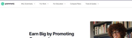 Grammarly screenshot
