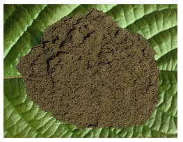 White Hulu Kapuas Kratom image