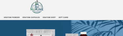 NuKine Wellness screenshot