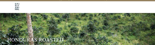 Spirit Animal Coffee screenshot